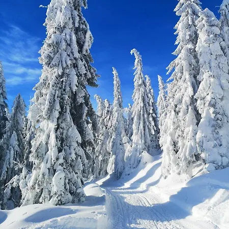 Tatil Evi Oboz Partyzancki Gorce